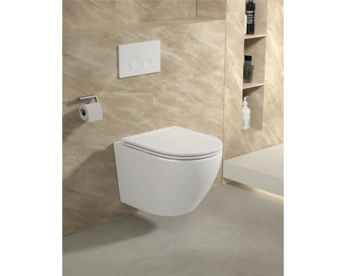 Závěsná toaleta s ovládací deskou a držákem toaletního papíru v koupelně s policemi