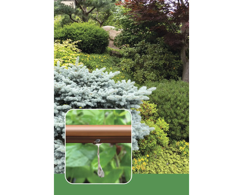 Detail hnědé zavlažovací hadice s kapátkem před zahradou s různými rostlinami a keři.