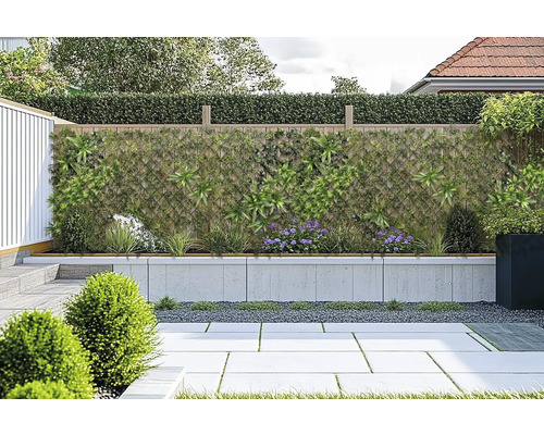 Zahradní scéna se zástěnou pro soukromí, osázenou zdí a dlážděnou podlahou