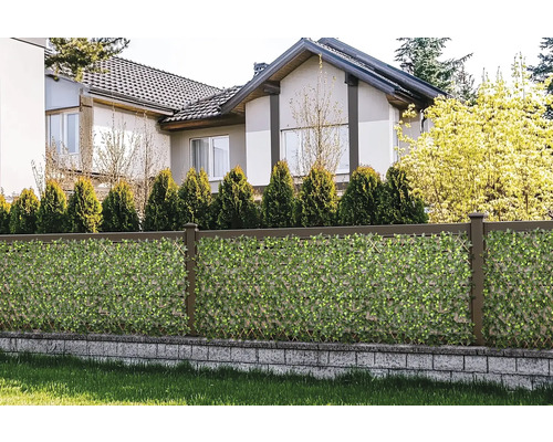 Zahradní plot s rohoží pro ochranu soukromí a dům v pozadí