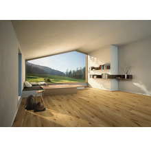 Světlá místnost s dřevěnou podlahou, knihovnami a velkým oknem s výhledem na zelenou krajinu