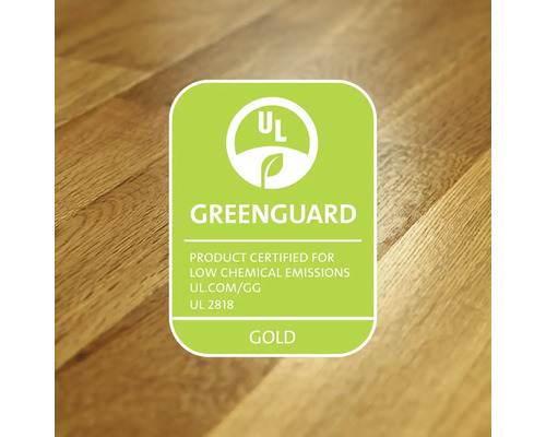 Certifikace Greenguard Gold pro nízké chemické emise