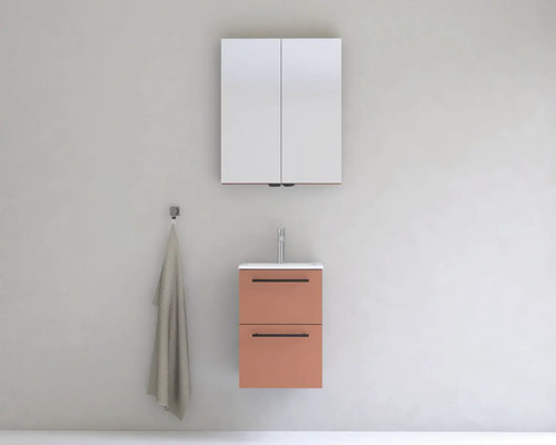 Koupelna s umyvadlovou skříňkou, umyvadlem, zrcadlovou skříňkou a háčkem na ručníky