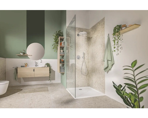 Koupelna se sprchou, skříňkou pod umyvadlo, zrcadlem a policemi zdobenými rostlinami.