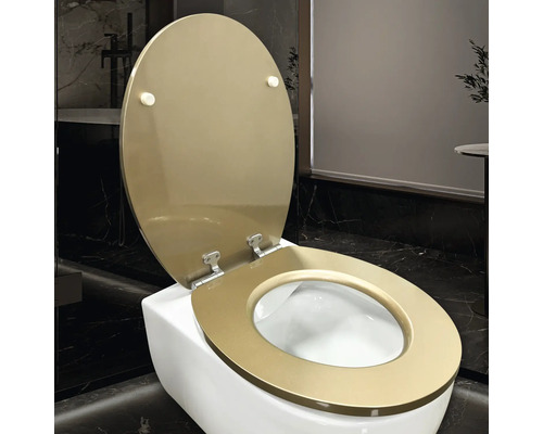 Záchodové prkénko s otevřeným víkem na toaletě