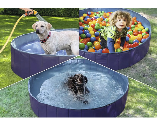 Vícenásobný pohled na brouzdaliště s dítětem hrajícím si v míčích a dvěma psy koupajícími se