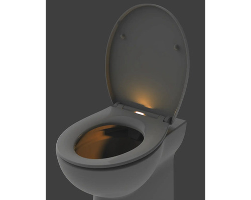 Toaleta s otevřeným víkem a integrovaným osvětlením