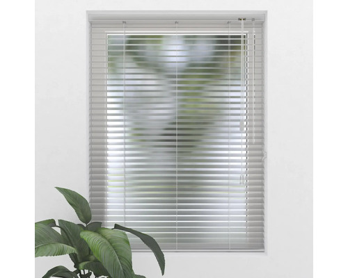 Okno s horizontálními žaluziemi pro ochranu proti světlu a soukromí