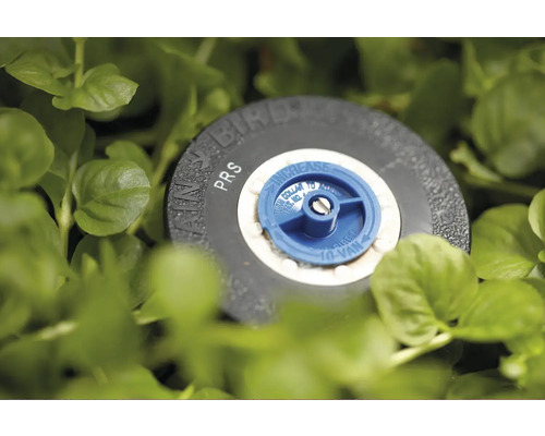 Tlakově regulovaná postřikovací hlava VRAIN Bird v trávě