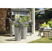 Dva květináče s květinami a plážový koš v pozadí.