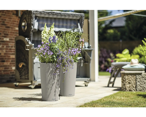 Dva květináče s květinami a plážový koš v pozadí.