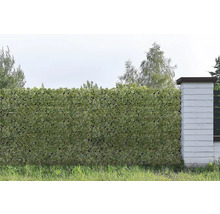 Umělý bambusový plot Boston Ivy 90×180 cm
