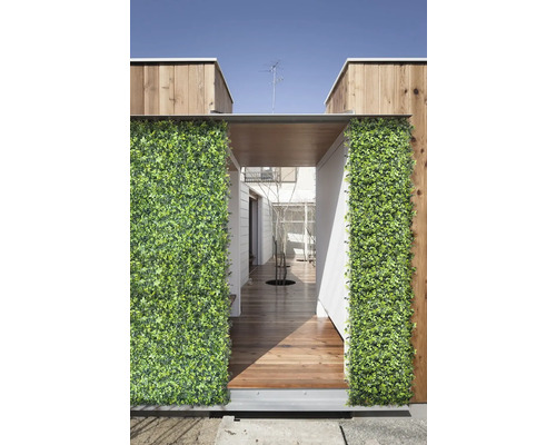 Dekorativní zelená stěna z rostlin u vchodu do domu s dřevěnou podlahou