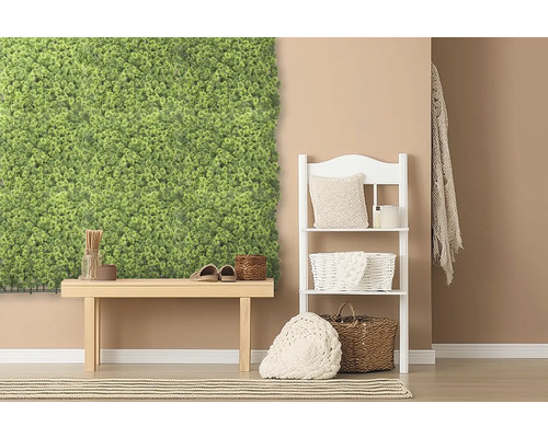 Dekorativní interiér s mechovou stěnou, lavicí a policí