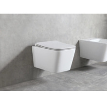 Závěsná toaleta s víkem a bidetem v koupelně