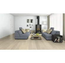 Obývací pokoj s šedými pohovkami, krbovými kamny, konferenčním stolkem a světlou dřevěnou podlahou