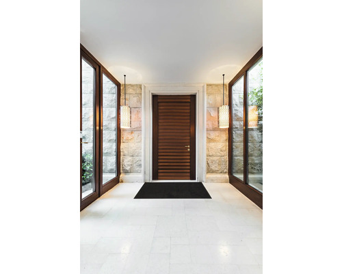 Vstupní prostor s dřevěnými dveřmi, skleněnými okny a osvětlením