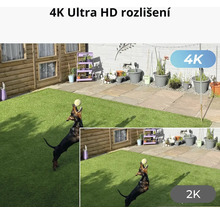 Zobrazení zahrady v rozlišení 4K Ultra HD s hrajícím si psem.