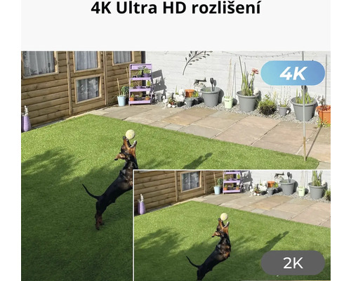 Zobrazení zahrady v rozlišení 4K Ultra HD s hrajícím si psem.