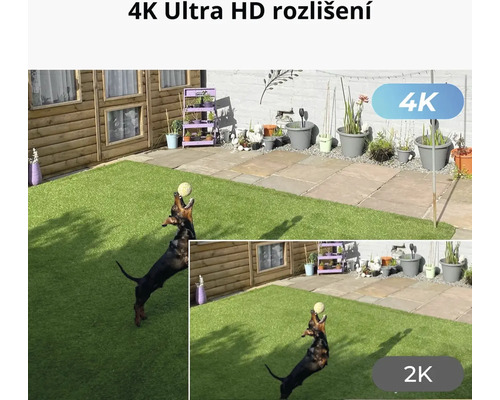 Ukázka srovnání rozlišení 4K Ultra HD se psem chytajícím míč na zahradě