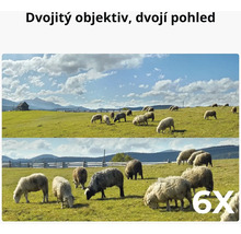 Ovce na zelené louce s fotoaparátem s funkcí duálního objektivu.