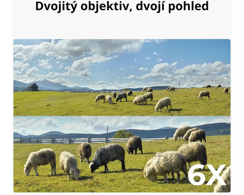 Ovce na zelené louce s fotoaparátem s funkcí duálního objektivu.