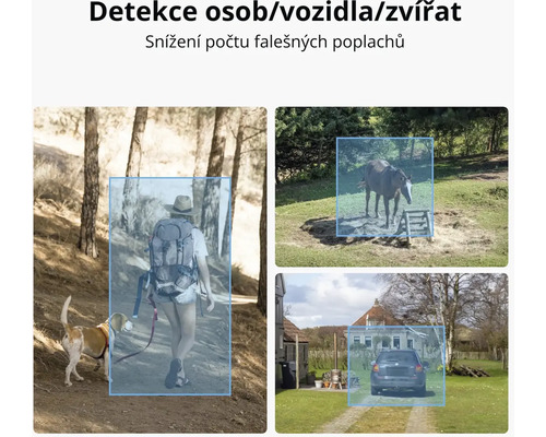 Monitorovací systém s detekcí osob, detekcí vozidel a detekcí zvířat