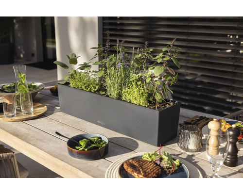 Jídelní stůl s bylinkami v květináči a jídlem