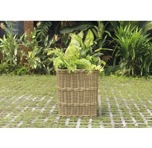 Ratanový koš na rostliny se zelenými rostlinami na zahradě