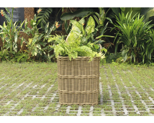 Ratanový koš na rostliny se zelenými rostlinami na zahradě