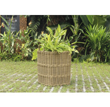 Proutěný květináč s rostlinami na zahradě.