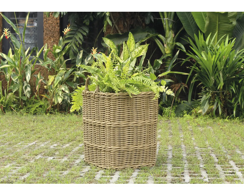 Proutěný květináč s rostlinami na zahradě.