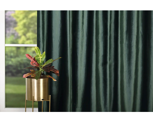 Dekorativní pokoj s pokojovou rostlinou ve zlatém květináči a závěsem