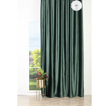 Dekorativní tmavý závěs před oknem s pokojovou rostlinou na stojanu na rostliny.