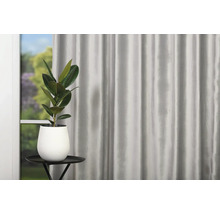 Dekorativní obytné prostředí se závěsem, stolem a hrnkovou rostlinou