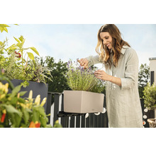 Žena stříhá levanduli v truhlíku s držákem na balkoně