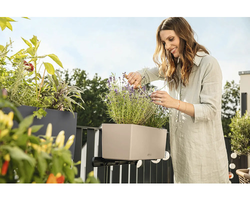 Žena stříhá levanduli v truhlíku s držákem na balkoně