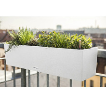 Bílý balkonový truhlík s bylinkami na zábradlí balkonu