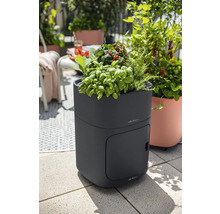 Zvýšený záhon s bylinkami a rostlinami rajčat na terase