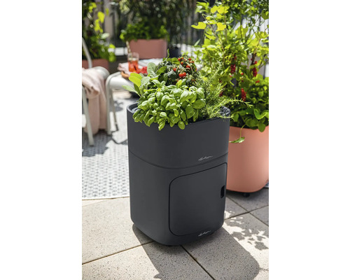 Zvýšený záhon s bylinkami a zeleninou na terase