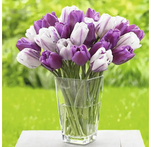 Kytice tulipánů ve skleněné váze
