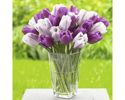 Kytice tulipánů ve skleněné váze