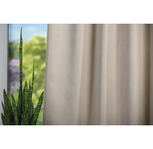 Dekorativní závěs vedle pokojové rostliny před oknem.