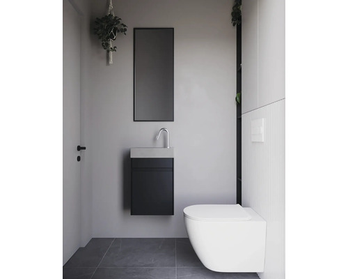 Moderní koupelna se závěsným WC, skříňkou pod umyvadlo, zrcadlem a závěsnou rostlinou