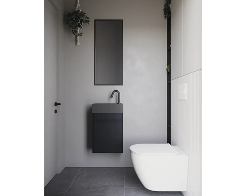 Moderní koupelna s toaletou, umyvadlem, zrcadlem a závěsnou rostlinou