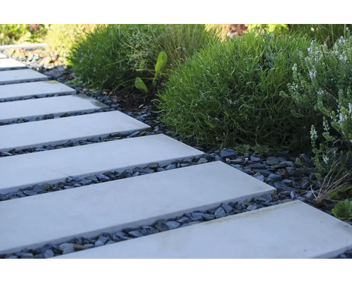 Zahradní stezka s obdélníkovými betonovými deskami a okrasným štěrkem mezi rostlinami