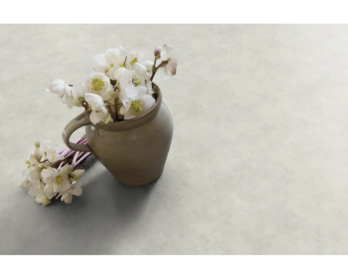 Rostliny čemeřice v džbánu