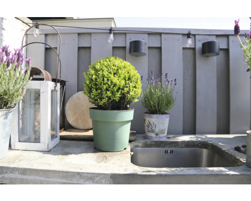 Venkovní prostor s květináči, venkovním osvětlením a umyvadlem