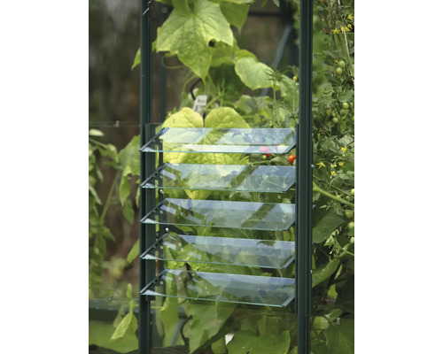 Detail okna skleníku s lamelami pro větrání.