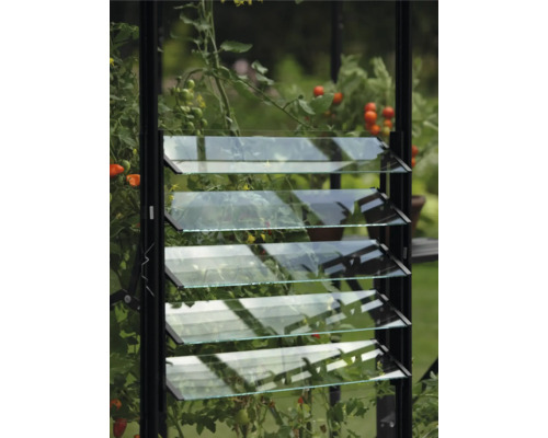 Skleníkové okno s žaluziemi pro větrání v zahradě.